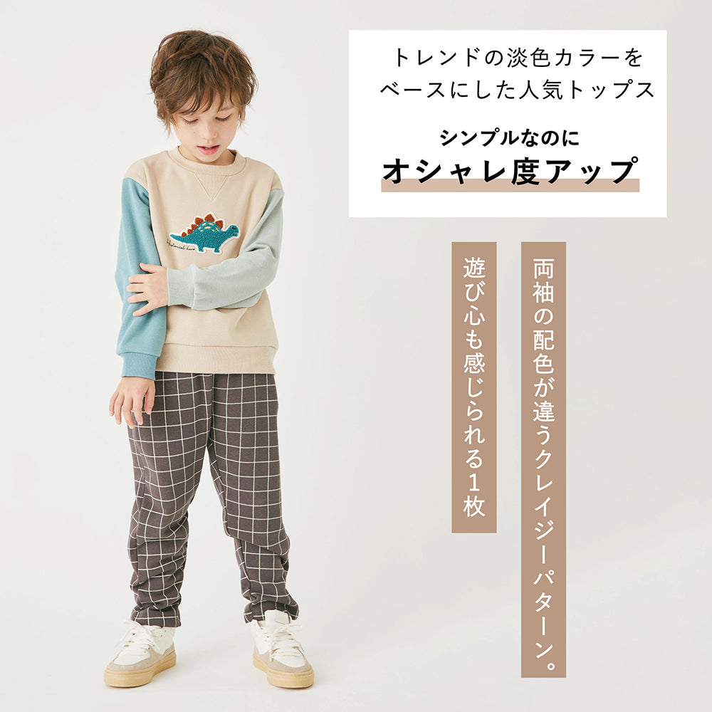 裏起毛恐竜刺繍トレーナー