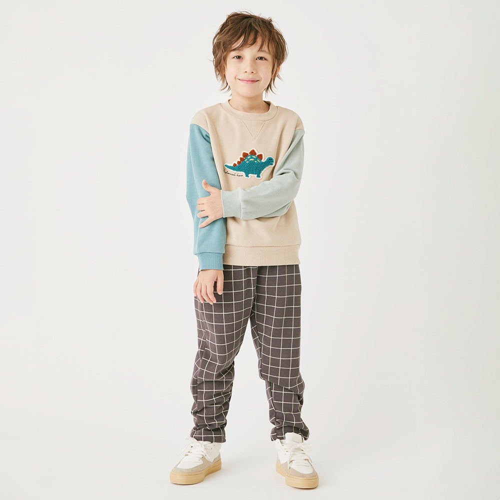 裏起毛恐竜刺繍トレーナー