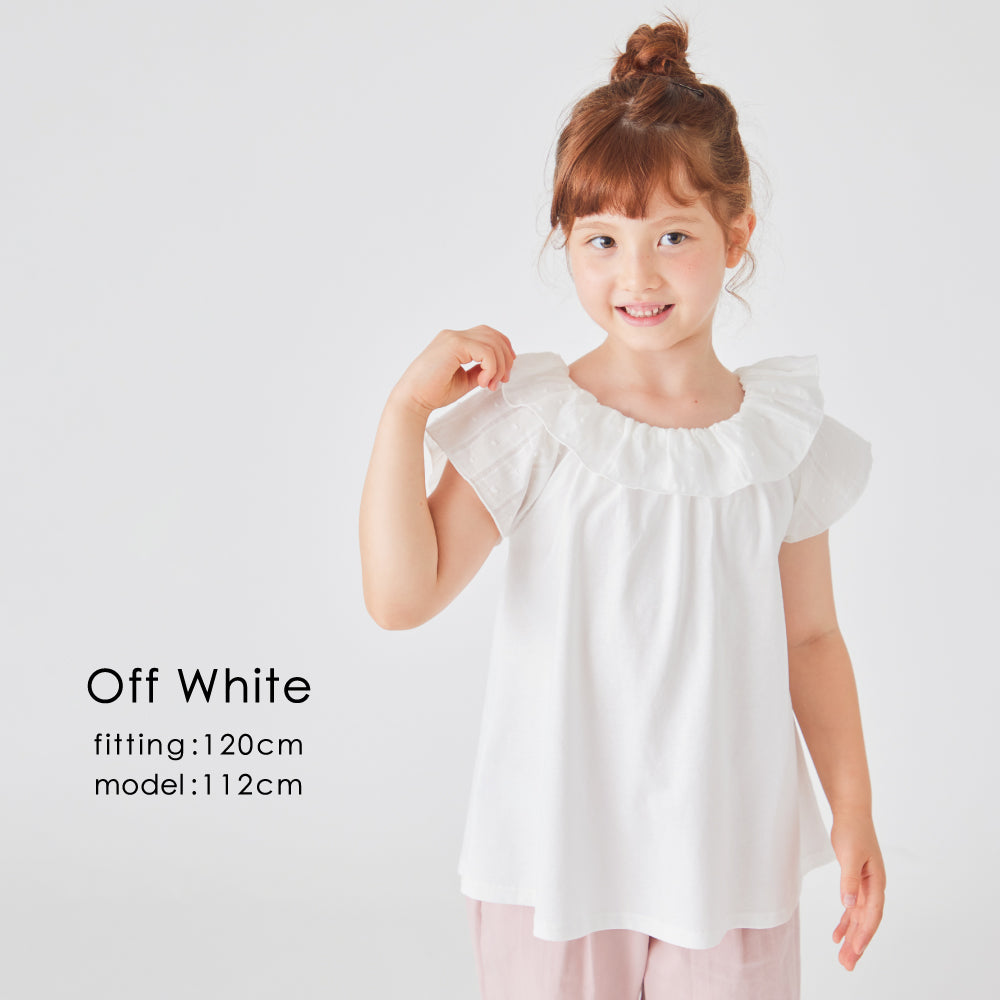 襟フリル Tシャツ