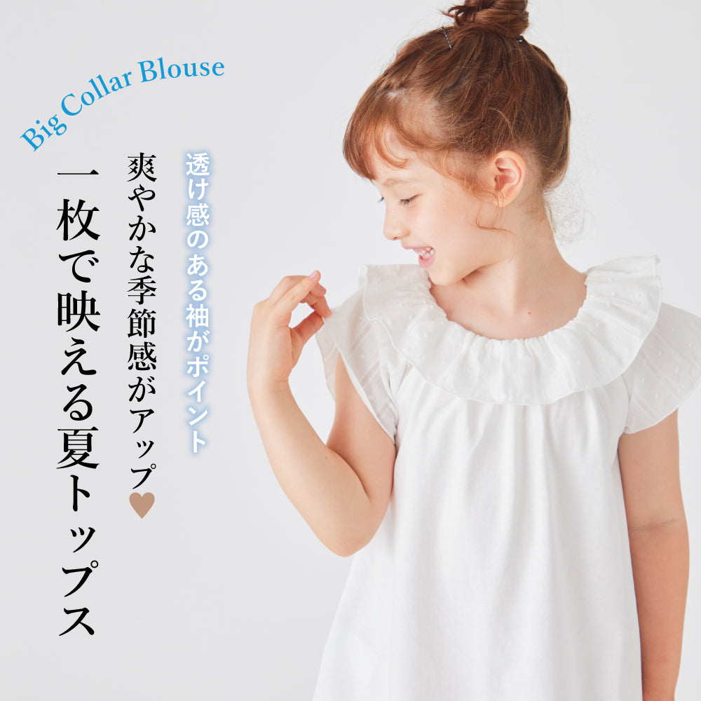 襟フリル Tシャツ