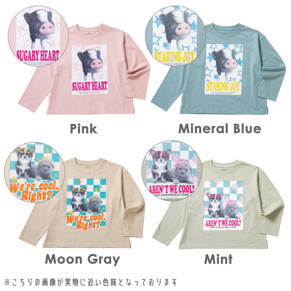 【今だけ!!春割】アニマルフォト Tシャツ